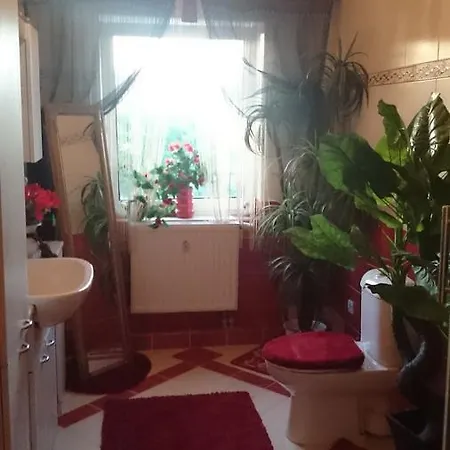 Uslugi Noclegowe Rustica Wegliniec